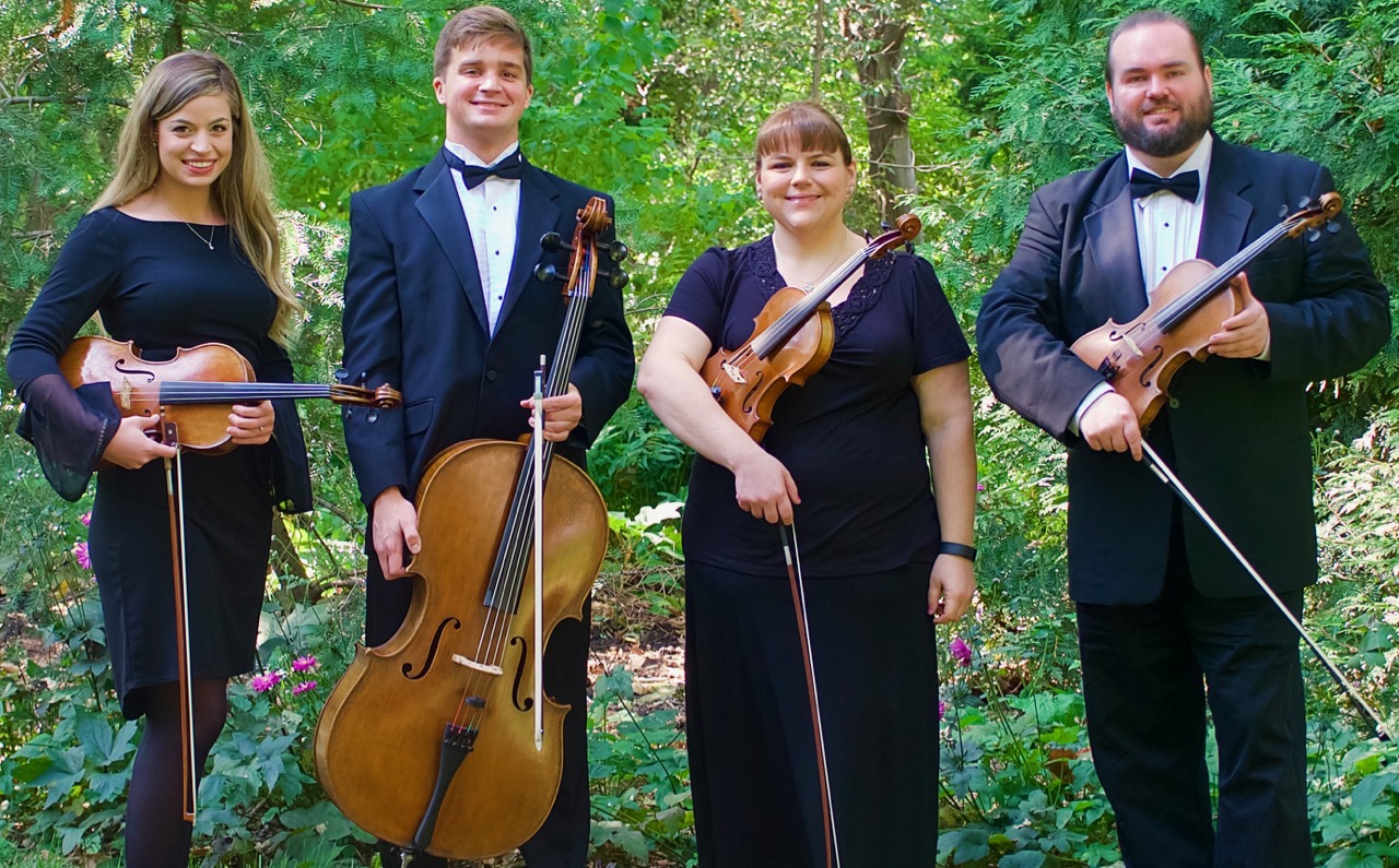 St Louis String Quartet The Matt Mccallie Orchestra Violin Wedding Music 0592